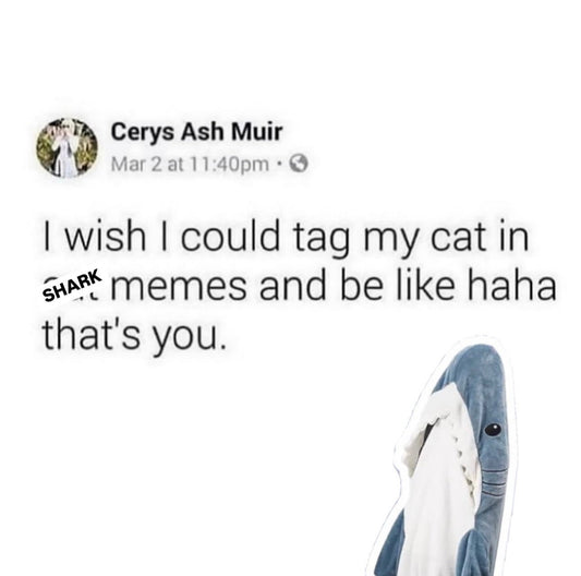 Shark Meme Of The Day